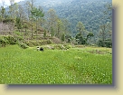 Sikkim-Mar2011 (123) * 3648 x 2736 * (6.21MB)